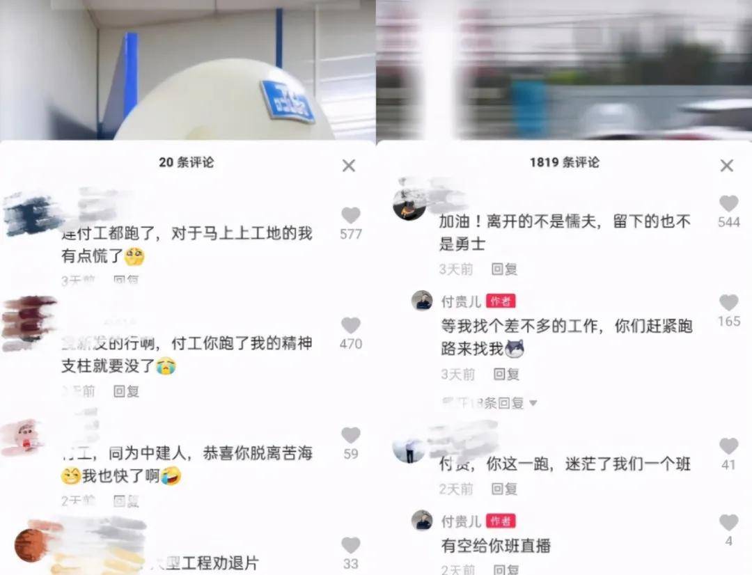 “稀客”紫背椋鸟到访福建