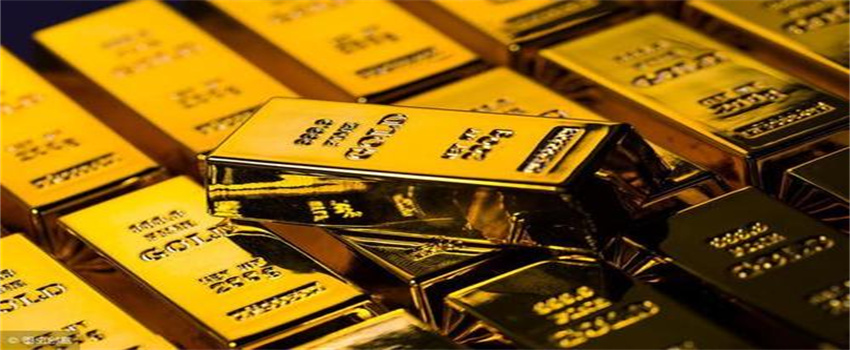 广东出台保护鸟类工作方案 提出全面加强鸟类迁飞通道保护等六大任务