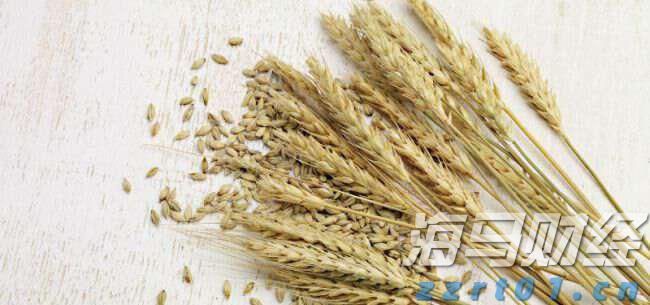 海关查获4件大凤螺贝壳制品,属濒危物种